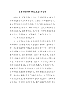 区审计局20XX年意识形态工作总结