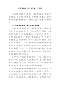 社区党组织2023年党建工作计划