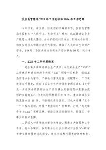 区应急管理局20XX年工作总结和2024年工作思路