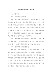 区投促局20XX年工作总结