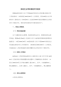 财政支出项目绩效评价报告