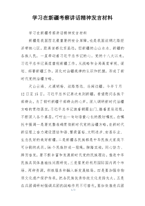 学习在新疆考察讲话精神发言材料