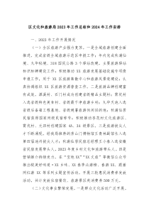 区文化和旅游局20XX年工作总结和2024年工作安排