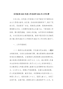 区民政局20XX年度工作总结和2024年工作打算