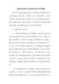 区统计局20XX年工作总结和20XX年工作思路