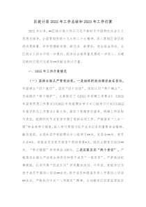 区统计局20XX年工作总结和20XX年工作打算