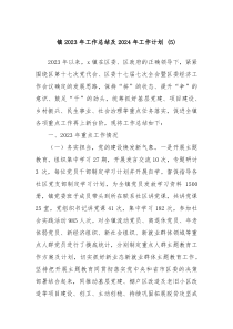 镇2023年工作总结及2024年工作计划5