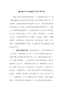 镇2023年工作总结及下步工作计划