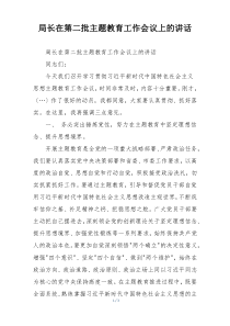 局长在第二批主题教育工作会议上的讲话