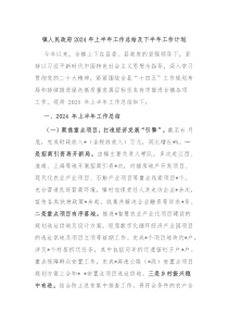 镇人民政府2024年上半年工作总结及下半年工作计划