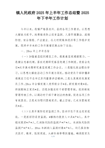 镇人民政府2025年上半年工作总结暨2025年下半年工作计划