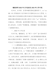 镇党建办2022年工作总结及2023年工作计划