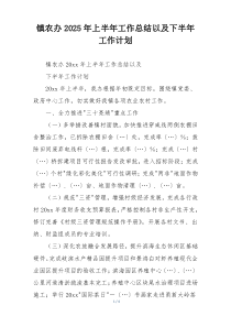 镇农办2025年上半年工作总结以及下半年工作计划