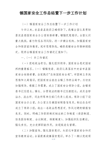 镇国家安全工作总结暨下一步工作计划