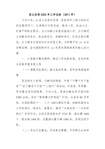 县公安局20XX年工作总结