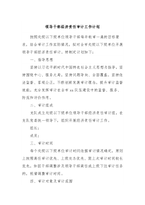 领导干部经济责任审计工作计划