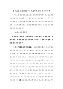 县农业农村局20XX年工作总结及20XX年工作打算