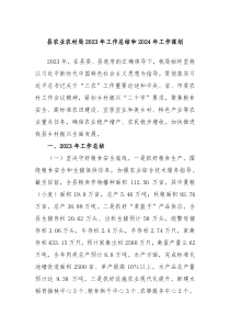 县农业农村局20XX年工作总结和2024年工作谋划