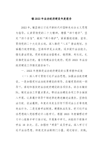 镇2023年法治政府建设年度报告