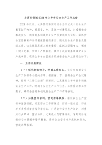 县商务领域2024年上半年安全生产工作总结
