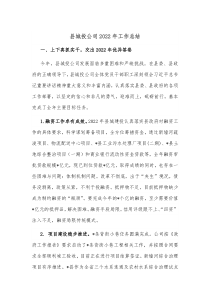 县城投公司20XX年工作总结