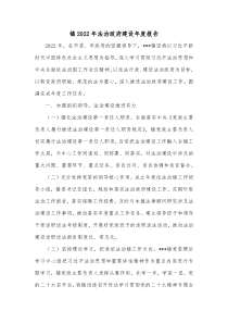 镇20XX年法治政府建设年度报告
