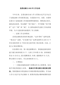 县委巡察办20XX年工作总结