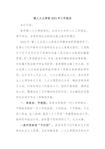 镇人大主席团20XX年工作报告