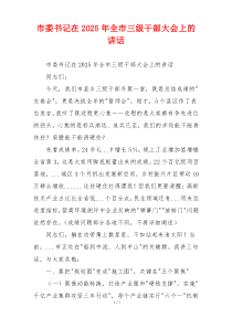 市委书记在2025年全市三级干部大会上的讲话