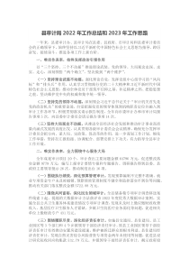 县审计局20XX年工作总结和20XX年工作思路
