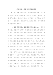 县招商局主题教育开展情况总结