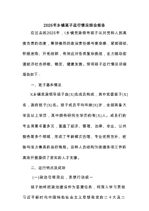 2025年乡镇班子运行情况综合报告