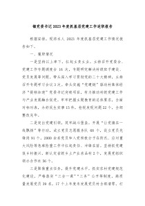 镇党委书记20XX年度抓基层党建工作述职报告