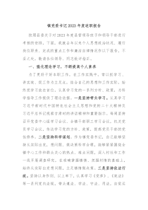 镇党委书记20XX年度述职报告