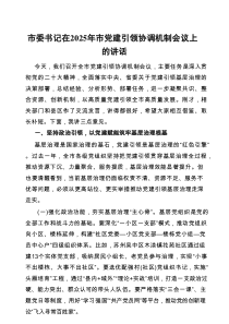市委书记在2025年市党建引领协调机制会议上的讲话