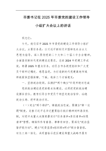 市委书记在2025年市委党的建设工作领导小组扩大会议上的讲话