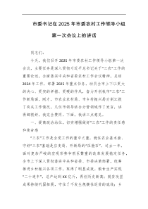 市委书记在2025年市委农村工作领导小组第一次会议上的讲话