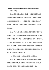 XX局长关于XX工作情况向新任县委书记的汇报（精编）