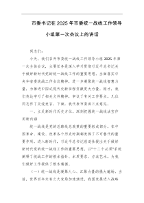 市委书记在2025年市委统一战线工作领导小组第一次会议上的讲话