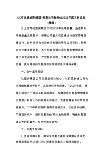 XX市交通投资(集团)有限公司财务处2025年度工作计划（精编）