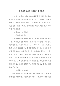 县文旅局公共文化20XX年工作总结