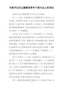 市委书记在主题教育青年干部大会上的讲话