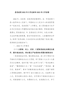 县民政局20XX年工作总结和20XX年工作安排