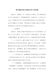 县气象局20XX年政务公开工作总结