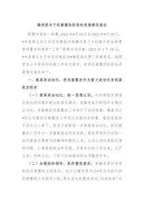 镇党委关于巡察整改阶段性进展情况报告