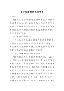 县纪委监委第四支部工作总结