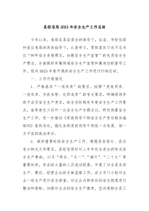 县经信局20XX年安全生产工作总结