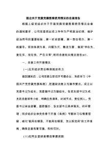 国企关于党旗党徽图案使用情况的自查报告