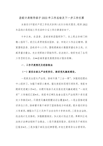 县统计局领导班子20XX年工作总结及下一步工作打算