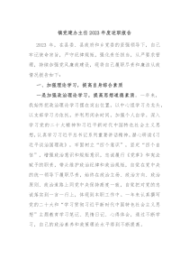 镇党建办主任20XX年度述职报告